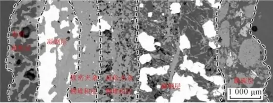 Figure 1. SEM image of the nodule at the sprue