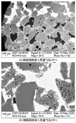 Figure 3. SEM image of the diffuse-type brick fragments 1