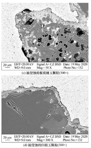 Figure 3. SEM image of the diffuse-type brick fragments 2