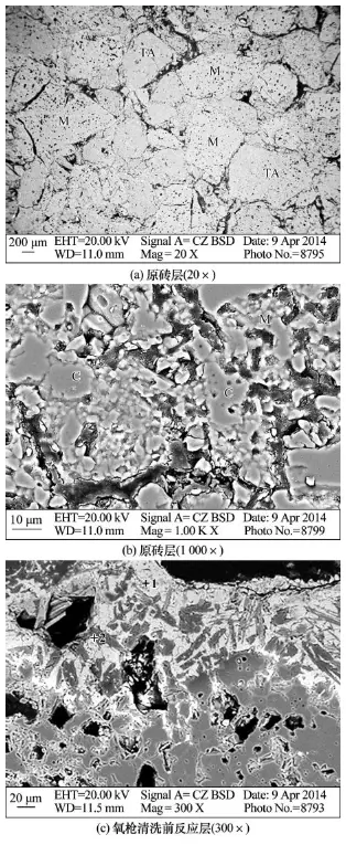 Figure 5. SEM image of core-plate type residual bricks