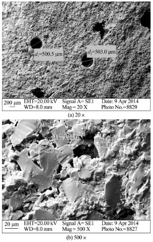 Figure 6. SEM image of ceramic tubular permeable bricks