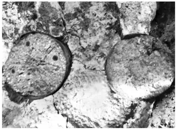 Figure 7. Actual photograph of ceramic tubular brick fragments